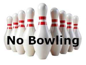 Pins for Pups with No Bowling